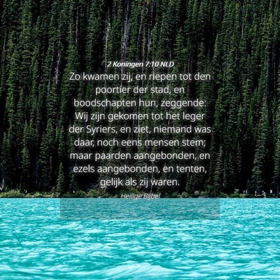 Picture 04 - 2 Koningen 7:10 NLD - Zo kwamen zij, en riepen tot den poortier der - Bible Verse Picture