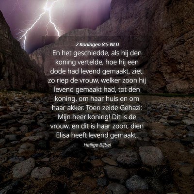 Picture 04 - 2 Koningen 8:5 NLD - En het geschiedde, als hij den koning vertelde, - Bible Verse Picture