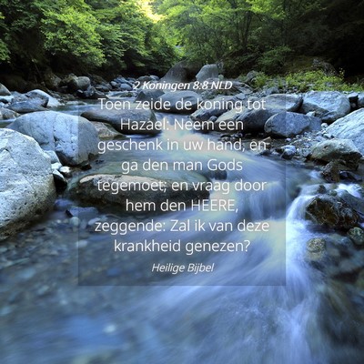 Picture 04 - 2 Koningen 8:8 NLD - Toen zeide de koning tot Hazael: Neem een - Bible Verse Picture