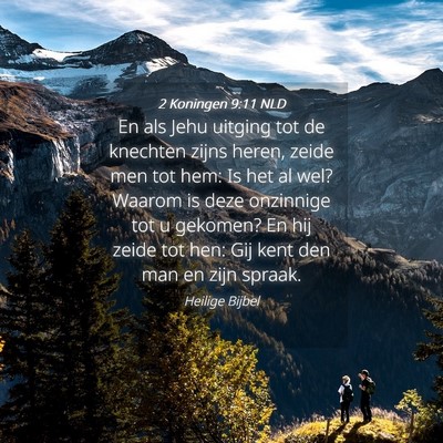 Picture 04 - 2 Koningen 9:11 NLD - En als Jehu uitging tot de knechten zijns heren, - Bible Verse Picture