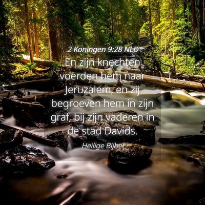 Picture 04 - 2 Koningen 9:28 NLD - En zijn knechten voerden hem naar Jeruzalem, en - Bible Verse Picture