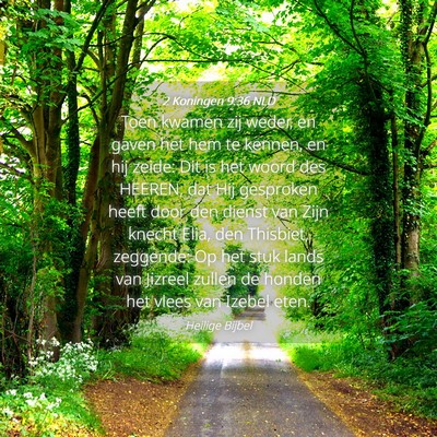 Picture 04 - 2 Koningen 9:36 NLD - Toen kwamen zij weder, en gaven het hem te - Bible Verse Picture