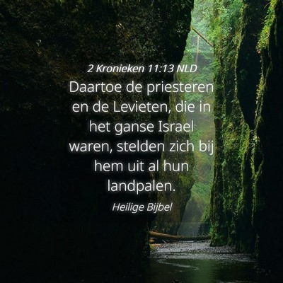 Picture 04 - 2 Kronieken 11:13 NLD - Daartoe de priesteren en de Levieten, die in het - Bible Verse Picture