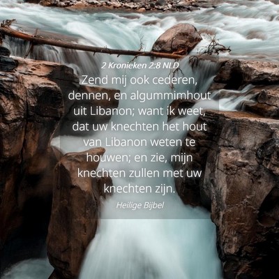 Picture 04 - 2 Kronieken 2:8 NLD - Zend mij ook cederen, dennen, en algummimhout uit - Bible Verse Picture