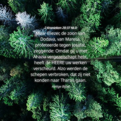 Picture 04 - 2 Kronieken 20:37 NLD - Maar Eliezer, de zoon van Dodava, van Maresa, - Bible Verse Picture