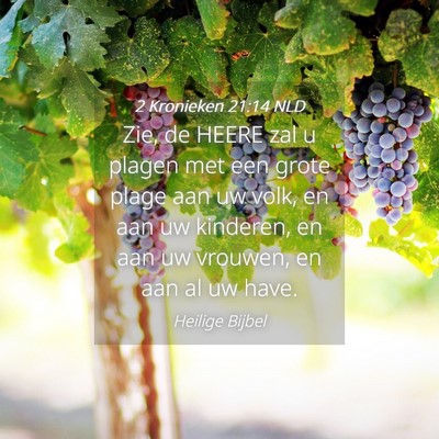 Picture 04 - 2 Kronieken 21:14 NLD - Zie, de HEERE zal u plagen met een grote plage - Bible Verse Picture