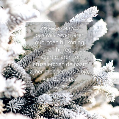 Picture 04 - 2 Kronieken 24:1 NLD - Joas was zeven jaren oud, toen hij koning werd, - Bible Verse Picture