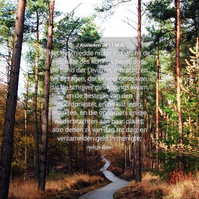 Picture 04 - 2 Kronieken 24:11 NLD - Het geschiedde nu ter tijd, als hij de kist, naar - Bible Verse Picture