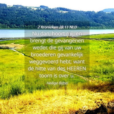 Picture 04 - 2 Kronieken 28:11 NLD - Nu dan, hoort mij, en brengt de gevangenen weder, - Bible Verse Picture