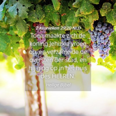 Picture 04 - 2 Kronieken 29:20 NLD - Toen maakte zich de koning Jehizkia vroeg op, en - Bible Verse Picture