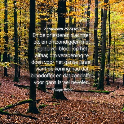 Picture 04 - 2 Kronieken 29:24 NLD - En de priesteren slachtten ze, en ontzondigden - Bible Verse Picture