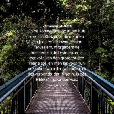 Picture 04 - 2 Kronieken 34:30 NLD - En de koning ging op in het huis des HEEREN, en - Bible Verse Picture