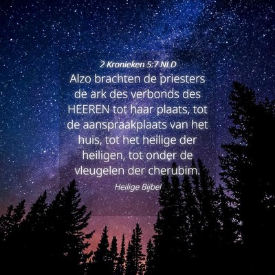 Picture 04 - 2 Kronieken 5:7 NLD - Alzo brachten de priesters de ark des verbonds - Bible Verse Picture