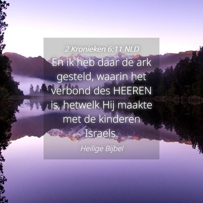 Picture 04 - 2 Kronieken 6:11 NLD - En ik heb daar de ark gesteld, waarin het verbond - Bible Verse Picture