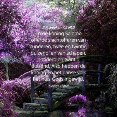 Picture 04 - 2 Kronieken 7:5 NLD - En de koning Salomo offerde slachtofferen van - Bible Verse Picture