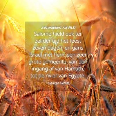 Picture 04 - 2 Kronieken 7:8 NLD - Salomo hield ook ter zelfder tijd het feest zeven - Bible Verse Picture