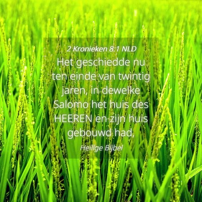 Picture 04 - 2 Kronieken 8:1 NLD - Het geschiedde nu ten einde van twintig jaren, in - Bible Verse Picture