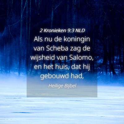 Picture 04 - 2 Kronieken 9:3 NLD - Als nu de koningin van Scheba zag de wijsheid van - Bible Verse Picture