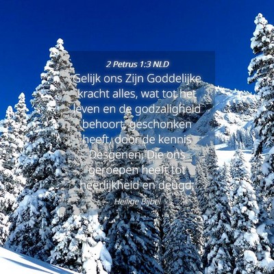 Picture 04 - 2 Petrus 1:3 NLD - Gelijk ons Zijn Goddelijke kracht alles, wat tot - Bible Verse Picture