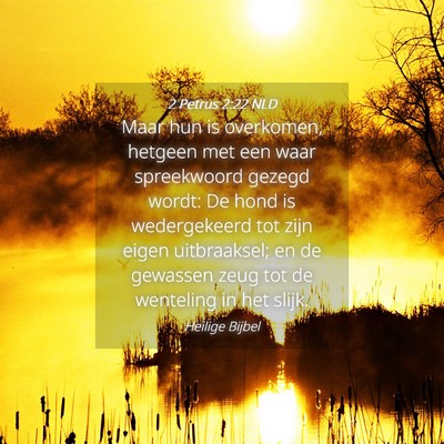 Picture 04 - 2 Petrus 2:22 NLD - Maar hun is overkomen, hetgeen met een waar - Bible Verse Picture