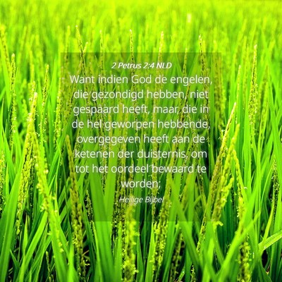 Picture 04 - 2 Petrus 2:4 NLD - Want indien God de engelen, die gezondigd hebben, - Bible Verse Picture