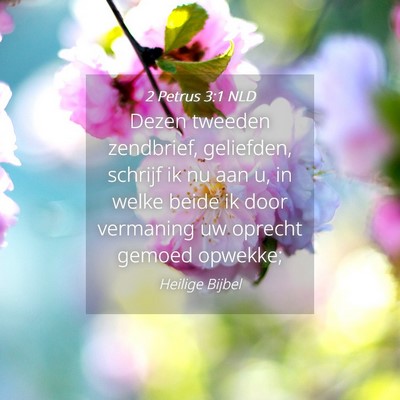 Picture 04 - 2 Petrus 3:1 NLD - Dezen tweeden zendbrief, geliefden, schrijf ik nu - Bible Verse Picture