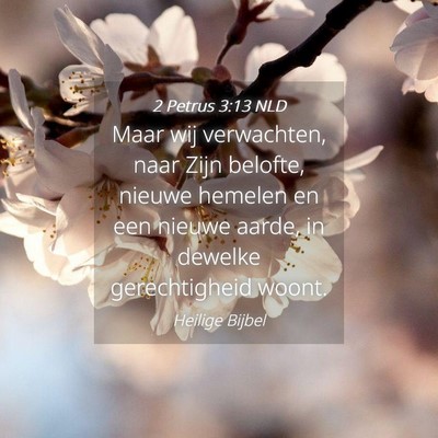 Picture 04 - 2 Petrus 3:13 NLD - Maar wij verwachten, naar Zijn belofte, nieuwe - Bible Verse Picture