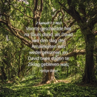 Picture 04 - 2 Samuël 1:1 NLD - Voorts geschiedde het na Sauls dood, als David - Bible Verse Picture