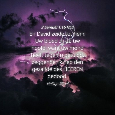 Picture 04 - 2 Samuël 1:16 NLD - En David zeide tot hem: Uw bloed zij op uw hoofd; - Bible Verse Picture