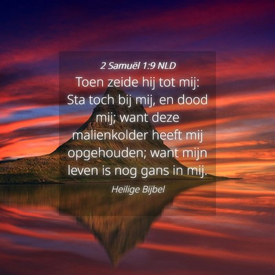 Picture 04 - 2 Samuël 1:9 NLD - Toen zeide hij tot mij: Sta toch bij mij, en dood - Bible Verse Picture