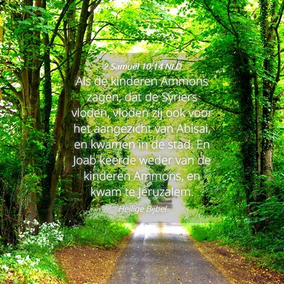 Picture 04 - 2 Samuël 10:14 NLD - Als de kinderen Ammons zagen, dat de Syriers - Bible Verse Picture