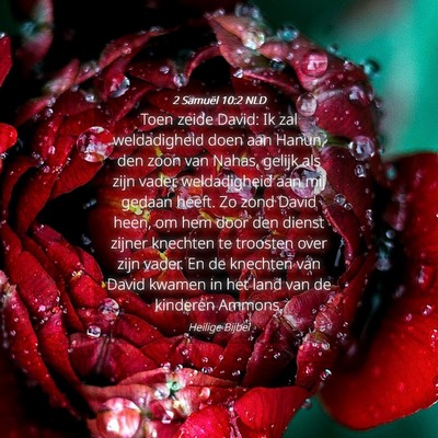 Picture 04 - 2 Samuël 10:2 NLD - Toen zeide David: Ik zal weldadigheid doen aan - Bible Verse Picture