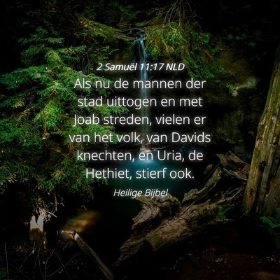 Picture 04 - 2 Samuël 11:17 NLD - Als nu de mannen der stad uittogen en met Joab - Bible Verse Picture