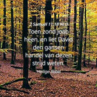 Picture 04 - 2 Samuël 11:18 NLD - Toen zond Joab heen, en liet David den gansen - Bible Verse Picture