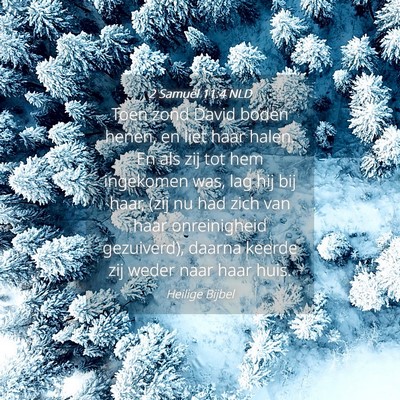 Picture 04 - 2 Samuël 11:4 NLD - Toen zond David boden henen, en liet haar halen. - Bible Verse Picture