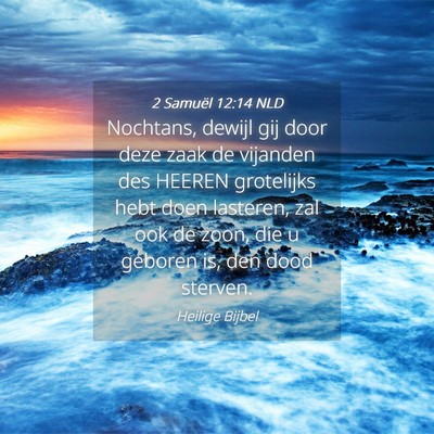 Picture 04 - 2 Samuël 12:14 NLD - Nochtans, dewijl gij door deze zaak de vijanden - Bible Verse Picture