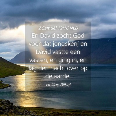Picture 04 - 2 Samuël 12:16 NLD - En David zocht God voor dat jongsken; en David - Bible Verse Picture