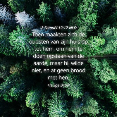 Picture 04 - 2 Samuël 12:17 NLD - Toen maakten zich de oudsten van zijn huis op tot - Bible Verse Picture