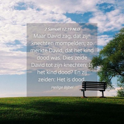 Picture 04 - 2 Samuël 12:19 NLD - Maar David zag, dat zijn knechten mompelden; zo - Bible Verse Picture