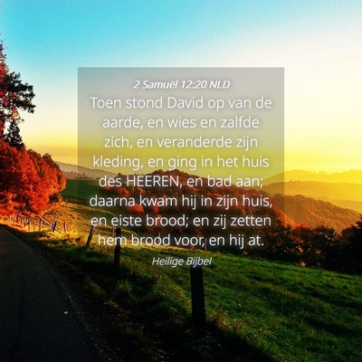 Picture 04 - 2 Samuël 12:20 NLD - Toen stond David op van de aarde, en wies en - Bible Verse Picture
