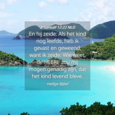 Picture 04 - 2 Samuël 12:22 NLD - En hij zeide: Als het kind nog leefde, heb ik - Bible Verse Picture