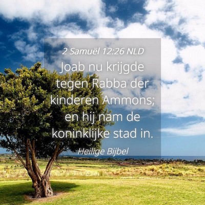 Picture 04 - 2 Samuël 12:26 NLD - Joab nu krijgde tegen Rabba der kinderen Ammons; - Bible Verse Picture