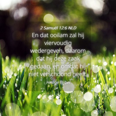 Picture 04 - 2 Samuël 12:6 NLD - En dat ooilam zal hij viervoudig wedergeven, - Bible Verse Picture