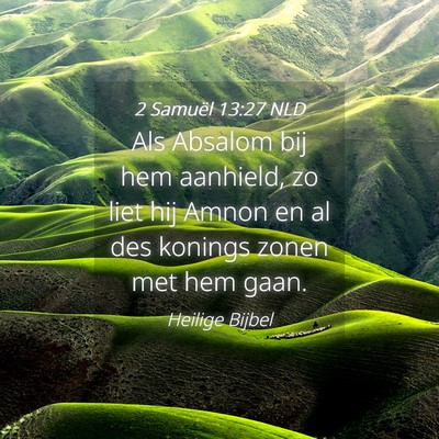Picture 04 - 2 Samuël 13:27 NLD - Als Absalom bij hem aanhield, zo liet hij Amnon - Bible Verse Picture