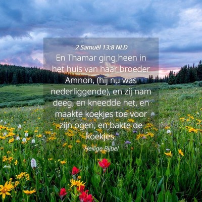 Picture 04 - 2 Samuël 13:8 NLD - En Thamar ging heen in het huis van haar broeder - Bible Verse Picture