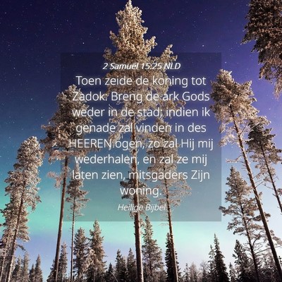 Picture 04 - 2 Samuël 15:25 NLD - Toen zeide de koning tot Zadok: Breng de ark Gods - Bible Verse Picture