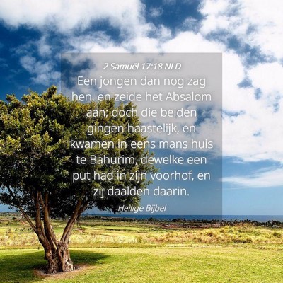 Picture 04 - 2 Samuël 17:18 NLD - Een jongen dan nog zag hen, en zeide het Absalom - Bible Verse Picture