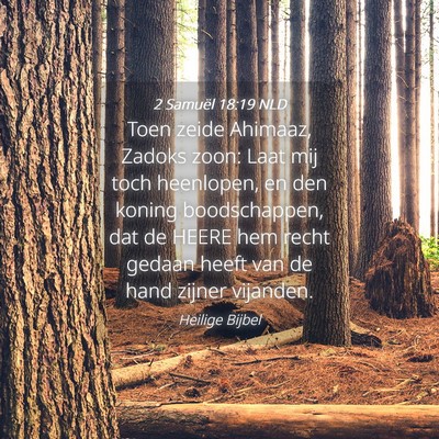 Picture 04 - 2 Samuël 18:19 NLD - Toen zeide Ahimaaz, Zadoks zoon: Laat mij toch - Bible Verse Picture