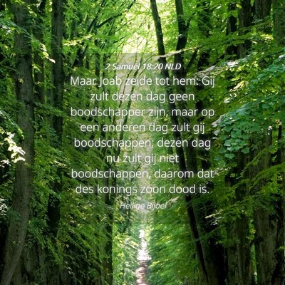 Picture 04 - 2 Samuël 18:20 NLD - Maar Joab zeide tot hem: Gij zult dezen dag geen - Bible Verse Picture