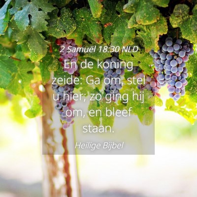 Picture 04 - 2 Samuël 18:30 NLD - En de koning zeide: Ga om, stel u hier; zo ging - Bible Verse Picture